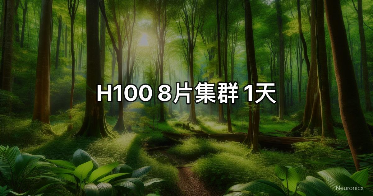 H100 8片集群 1天