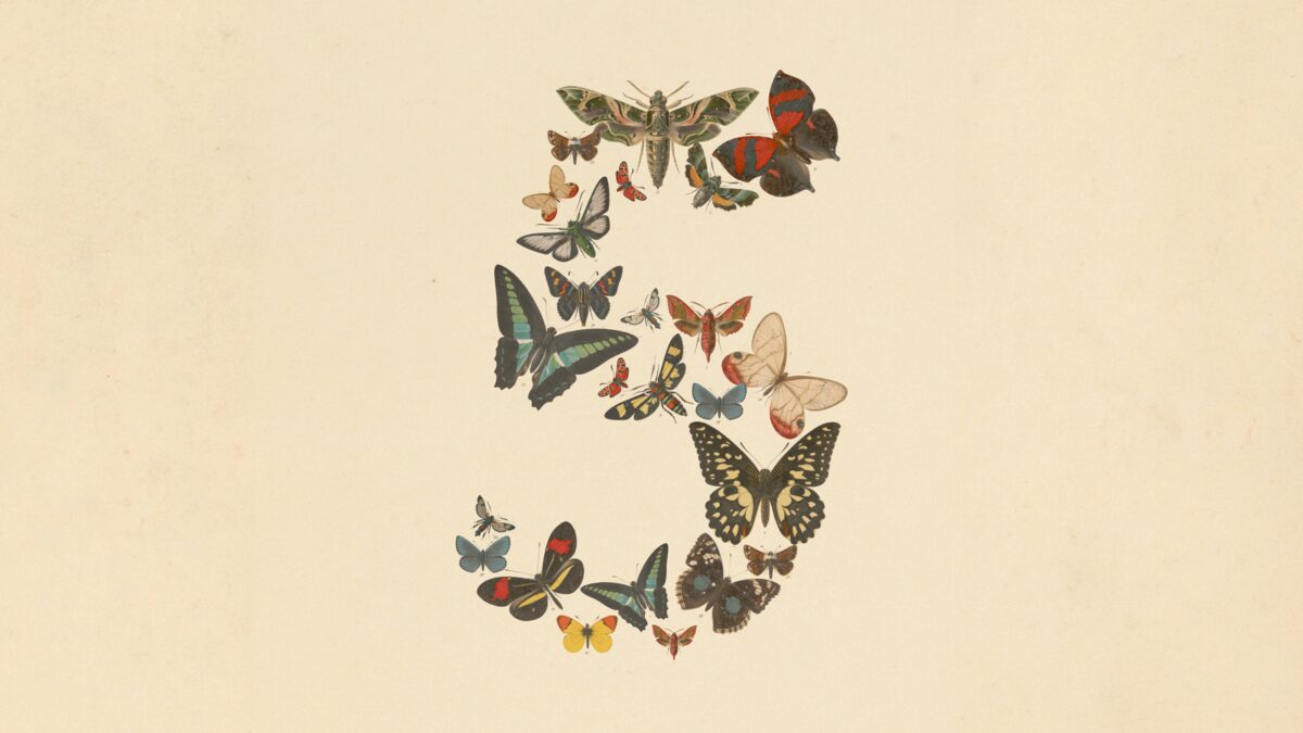 Claude Fable 5 正式發布:Anthropic 史上最強公開模型全解析(跑分、價格、對比 GPT-5.5) Claude Fable 5 正式發布:Anthropic 史上最強公開模型全解析(跑分、價格、對比 GPT-5.5)