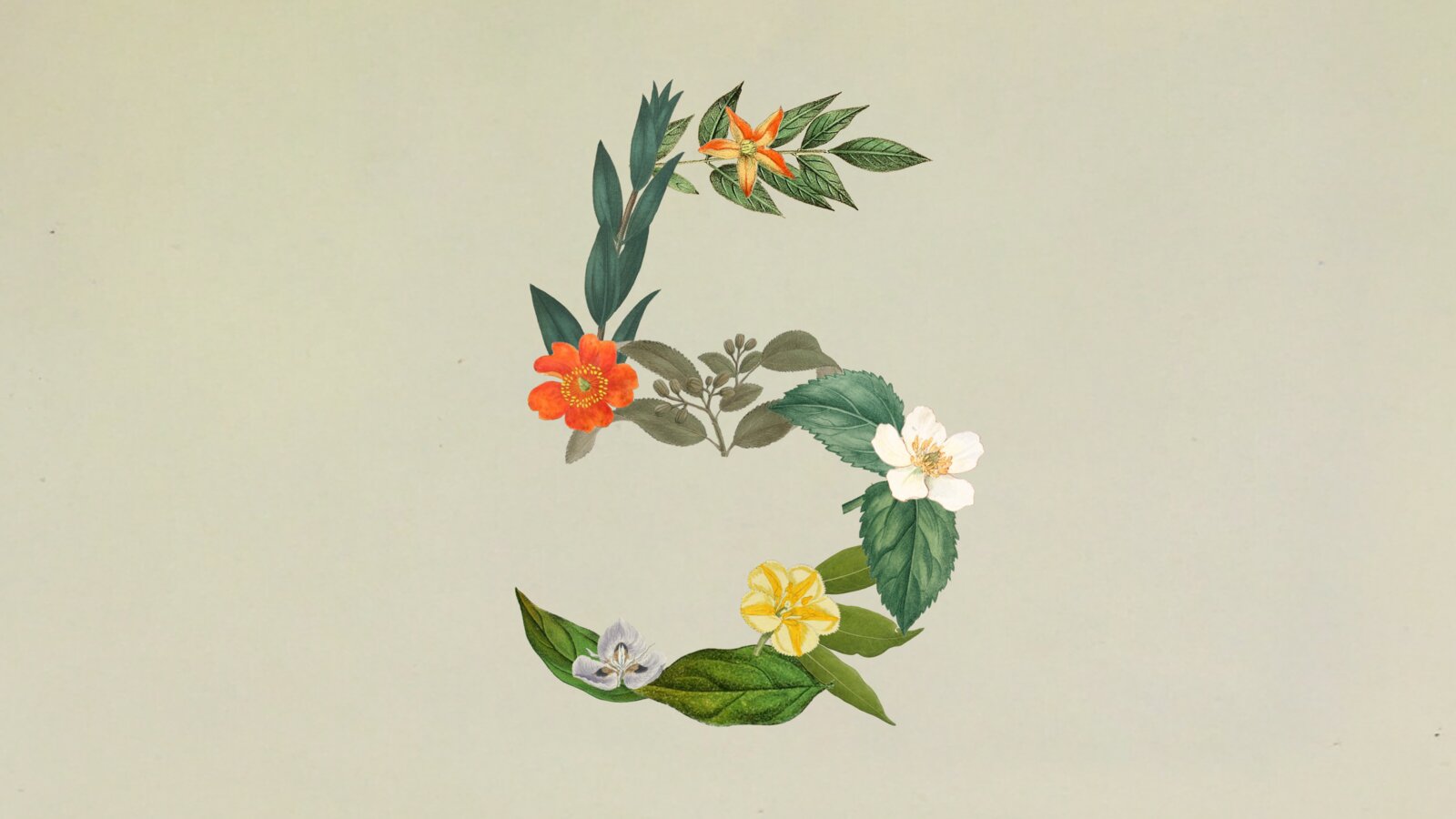 Claude Sonnet 5 正式發佈:迄今最強代理 Sonnet,效能逼近 Opus 4.8、價格更低 Claude Sonnet 5 正式發佈:迄今最強代理 Sonnet,效能逼近 Opus 4.8、價格更低